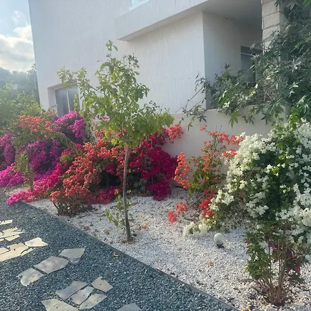 Sea Flower Village Paphos
