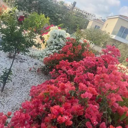 Sea Flower Village