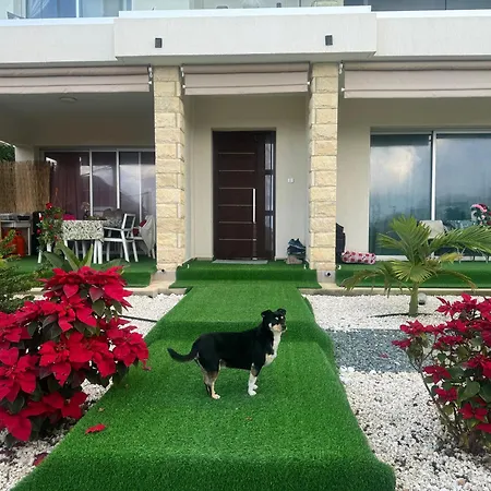 Sea Flower Village Homestay Paphos